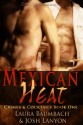 Mexican Heat - Laura Baumbach, Josh Lanyon