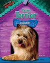 Cairn Terrier: Hero of Oz - Duncan Searl