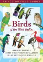 Birds of the West Indies (Princeton Field Guides) - Herbert A. Raffaele, James Wiley, Orlando H. Garrido, Allan Keith, Janis I. Raffaele, Tracy Pedersen, Kristin Williams