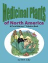 Medicinal Plants Of North America: A Flora Delaterre Coloring Book - Beth Judy