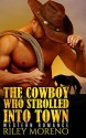 WESTERN: Harsh Winds : The Cowboy who strolled into town (Western Cowboy BWWM Collections) (BWWM Interracial Short Stories) - Riley Moreno