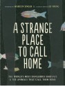 A Strange Place to Call Home: The World's Most Dangerous Habitats & the Animals That Call Them Home - Marilyn Singer, Ed Young