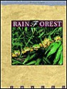 Rain Forest - Michael George