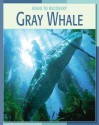 Gray Whale - Susan H. Gray