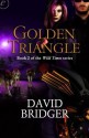 Golden Triangle - David Bridger