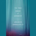 To the Edge of Sorrow - Aharon Appelfeld