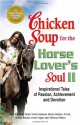 Chicken Soup for the Horse Lover's Soul II: Tales of Passion, Achievement and Devotion (Chicken Soup for the Soul) - Jack Canfield, Mark Victor Hansen, Marty Becker, Teresa Becker, Peter Vegso, Theresa Peluso