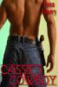 Cassie's Cowboy - Fawn Lowery