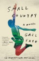 Small Country - Gaël Faye