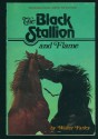 The Black Stallion and Flame (Black Stallion, #15) - Walter Farley