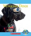 Working Dogs - Josh Gregory