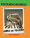 Hawks and Falcons - Karen Haywood