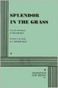 Splendor in the Grass - William Inge, F. Andrew Leslie