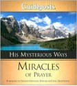 His Mysterious Ways: Miracles of Prayer - Leslie Gourse