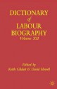 The Dictionary of Labour Biography: Volume Twelve - David Howell, Keith Gildart