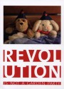 Revolution Is Not A Garden Party - Maja Fowkes, Gerald Raunig