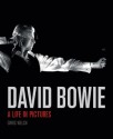 David Bowie: A Life in Pictures - Chris Welch