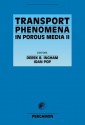 Transport Phenomena in Porous Media II - Ioan Pop, Derek B. Ingham