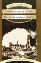 Cierpienia młodego Wertera - Johann Wolfgang von Goethe