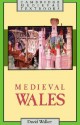 Medieval Wales - David Walker