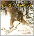 Life in the Boreal Forest - Brenda Z. Guiberson, Gennady Spirin