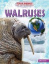 Walruses - Ruth Owen