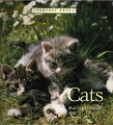 Cats - Kathryn Hinds