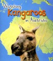 Watching Kangaroos in Australia - Louise Spilsbury, Richard Spilsbury