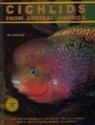 Cichlids from Central America - Ad Konings