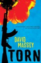 Torn - David Massey