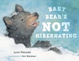 Baby Bear's Not Hibernating - Lynn Plourde, Teri Weidner