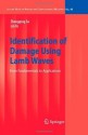 Identification of Damage Using Lamb Waves: From Fundamentals to Applications (Lecture Notes in Applied and Computational Mechanics) - Zhongqing Su, Lin Ye