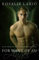 For Want of an Angel (The Fallen Warriors Series) - Rosalie Lario, Kim Bowman