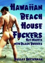 Hawaiian Beach House Fuckers - Dallas Sketchman