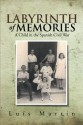 Labyrinth of Memories: A Child in the Spanish Civil War - Luis Martin