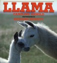 Llama - Caroline Arnold, Richard Hewett