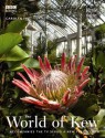 The World of Kew - Martin Knowlden