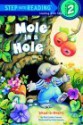 Mole in a Hole - Rita Golden Gelman