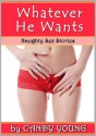 Whatever He Wants (Naughty Sex Stories) - Candy Young