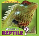 What's a Reptile? - Anna Kaspar