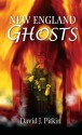 New England Ghosts - David J. Pitkin