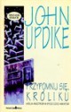 Przypomnij się, Króliku - John Updike