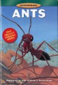 Investigate Ants [With Project Stickers] - Kimberly Graham, Kevin Stead