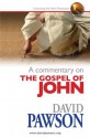 A Commentary on the Gospel of John - David Pawson