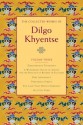 The Collected Works of Dilgo Khyentse, Volume Three - Dilgo Khyentse, Matthieu Ricard, Vivian Kurz