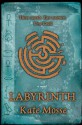 Labyrinth (Languedoc Trilogy, #1) - Kate Mosse