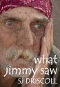 What Jimmy Saw - Sally Jane Driscoll