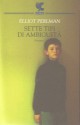 Sette tipi di ambiguità - Elliot Perlman, Stefano Bortolussi