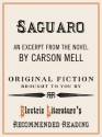 "Saguaro" (Excerpt) (Electric Literature's Recommended Reading) - Carson Mell, Benjamin Samuel