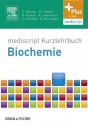 Kurzlehrbuch Biochemie - Ulf Dettmer, Malte Folkerts, Raphael Kunisch, Alexandra Lantermann, Eva-Maria Schindler, Andreas Sönnichsen